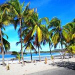 Private Transfer From Tamarindo To San Jose Airport - The Sum Up