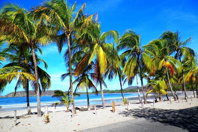 Private Transfer From Tamarindo To San Jose Airport - The Sum Up