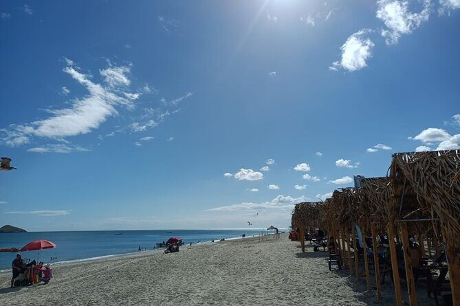 Private Transfer Hotel or Airport to Resorts in Playa Blanca. One way - Final Thoughts: Is This Transfer Right for You?