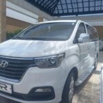 Private transfer in punta cana and bavaro - The Itinerary and Experience in Detail