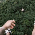 Private Transfer in Punta Cana, Hotels and Airport - In-Depth Look at the Private Transfer Experience