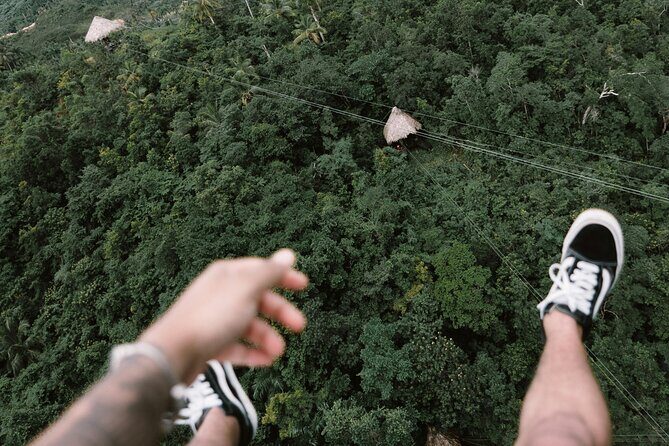 Private Transfer in Punta Cana, Hotels and Airport - In-Depth Look at the Private Transfer Experience