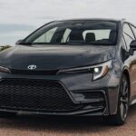 Private Transfer Mendoza Airport MDZ to Mendoza by Car or Minibus - Authenticity and Practicality: Why This Transfer Works