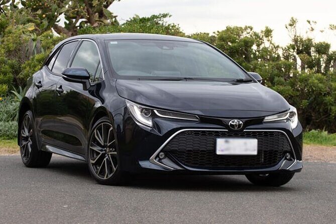 Private Transfer Mendoza to Mendoza Airport MDZ by Car or Minibus - What You Can Expect During Your Transfer