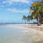 Private Transfer: San José Hotels to SJO Airport - Why This Transfer Offers Great Value