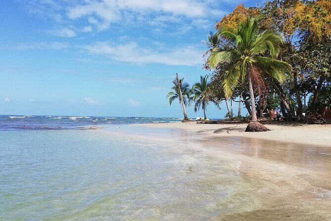 Private Transfer: San José Hotels to SJO Airport - Why This Transfer Offers Great Value