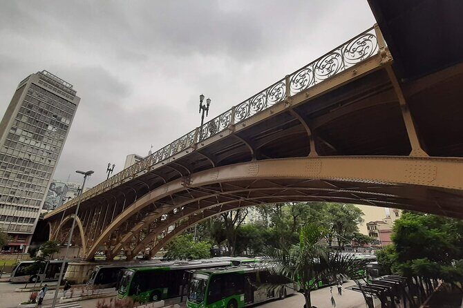 Private Transfer São Paulo Airport to Hotels with Quick City Tour - Additional Details for Travelers