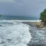 Private Transfer SJO Airport to Puerto Viejo and Cahuita Hotels - Deep Dive into the Experience