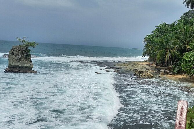 Private Transfer SJO Airport to Puerto Viejo and Cahuita Hotels - Deep Dive into the Experience