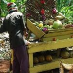 Private Transfer to Yaaman Adventure Park from Ocho Rios - FAQ