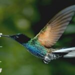 Private Transfers / Discover Mindo: Full Day of Adventure Tour - The Sum Up