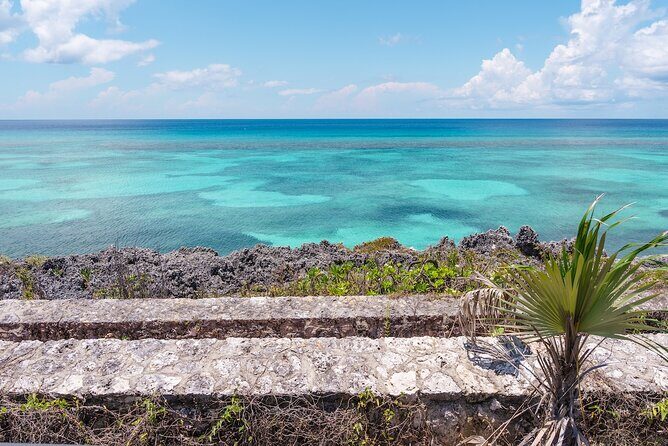 Private Transport From Airport & Private Air to Eastern District - What to Expect During the Transfer