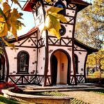 Private Transport - LAWN | CINNAMON - Who Will Love This Service?