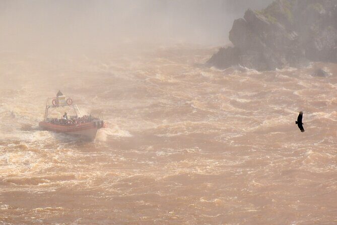 Private transport with guide to the Falls on the Argentinean side. - FAQs