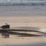 Private Transportation San Jose Airport to Nosara, Guanacaste - Why This Transfer Works Well for You