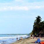 Private transportation service from Santa Marta to Palomino - Detailed Breakdown of the Journey