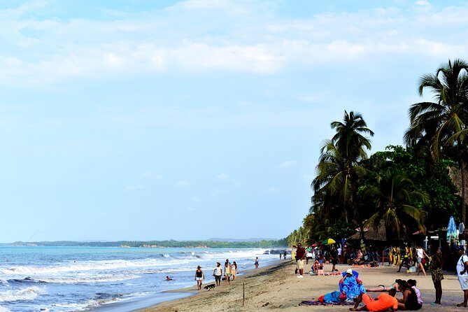 Private transportation service from Santa Marta to Palomino - Detailed Breakdown of the Journey