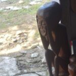 Private trip Cerros de Mavecure, Ruta del ají & Estrella Fluvial del Sur - Final Thoughts