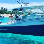 Private Trip to Cayo Icacos Island - Who Will Love This Trip?