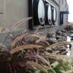 PRIVATE TUR: Caroya WineTour HalfDay - Final Thoughts