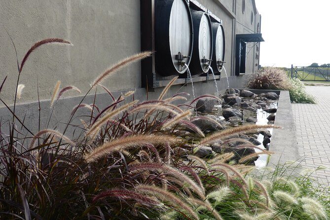 PRIVATE TUR: Caroya WineTour HalfDay - Final Thoughts