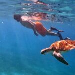 Private Turtle Spotting Snorkeling Excursion in Aruba - Final Thoughts