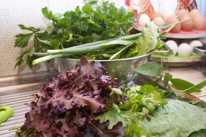 Private typical cooking class with a Costa Rican family - Exploring the Experience in Depth