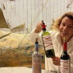 Private VIK Winery (2nd World Best Wine) & Transfer to Hotel - Who Will Love This Tour?