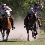 Private Visit Village in San Antonio de Areco and a Estancia - Cultural Highlights and Personal Touches
