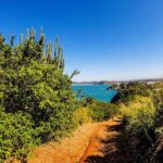 Private Walk through the Natural Pools in Búzios - Why This Tour Stands Out