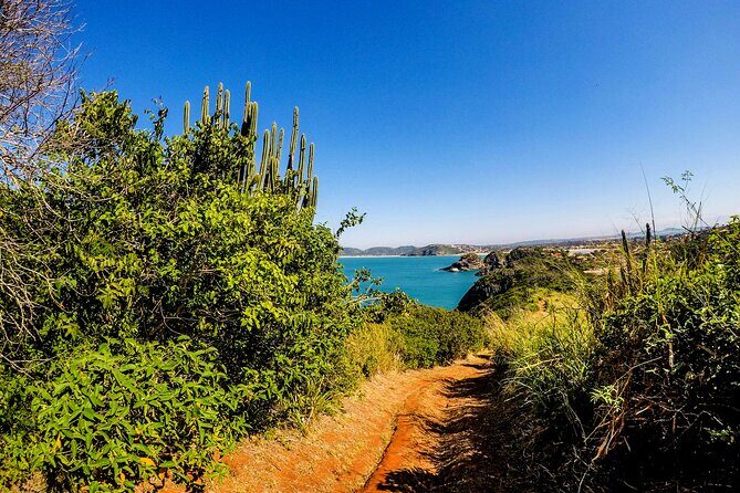 Private Walk through the Natural Pools in Búzios - Why This Tour Stands Out