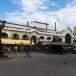 Private Walking Tour in Montevideo - Who Is This Tour Best For?