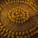 Private Walking Tour Lima Heritage Downtown Half Day - What the Tour Includes and What to Keep in Mind