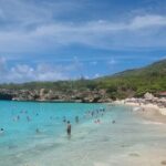 Private Westcoast Beachhop Tour. Turtle beach, grote knip & More - Who Will Love This Tour?