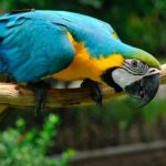Private Wildlife and Sightseeing Tour to Natuwa Rescue Center - Discovering the Natuwa Wildlife Sanctuary