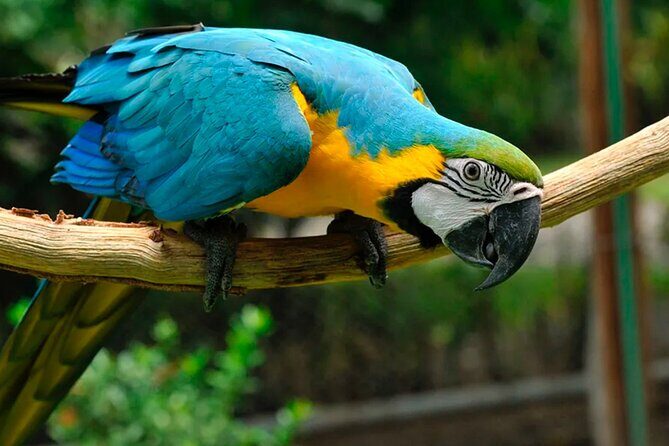 Private Wildlife and Sightseeing Tour to Natuwa Rescue Center - Discovering the Natuwa Wildlife Sanctuary