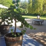 Private Wine Tour in Valparaiso - Why This Tour Is a Good Value