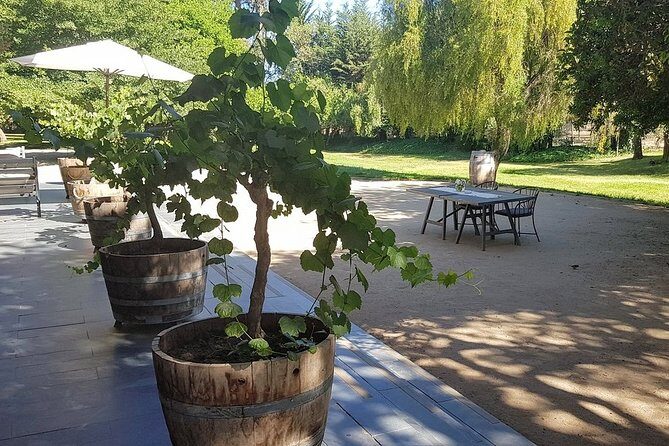 Private Wine Tour in Valparaiso - Why This Tour Is a Good Value