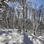 Private Winter Trekking Experience in Bariloche - FAQs
