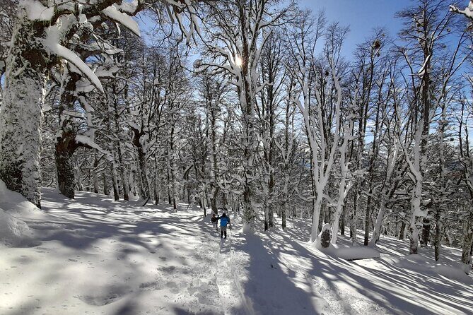 Private Winter Trekking Experience in Bariloche - FAQs
