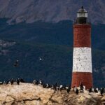 Private yacht sailing on the Beagle Channel - What real travelers say