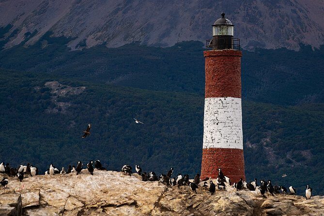 Private yacht sailing on the Beagle Channel - What real travelers say