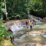 Private YS Falls and Black River Safari from Montego Bay - Who Will Appreciate This Tour?