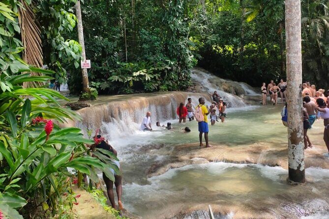 Private YS Falls and Black River Safari from Montego Bay - Who Will Appreciate This Tour?
