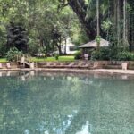 Private YS Falls & Appleton Estate Rum tour from Montego Bay - Who Should Consider This Tour?