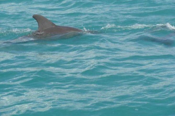 [PRIVATE] YS Falls, Black River, Pelican Bar - Entrance & Lunch