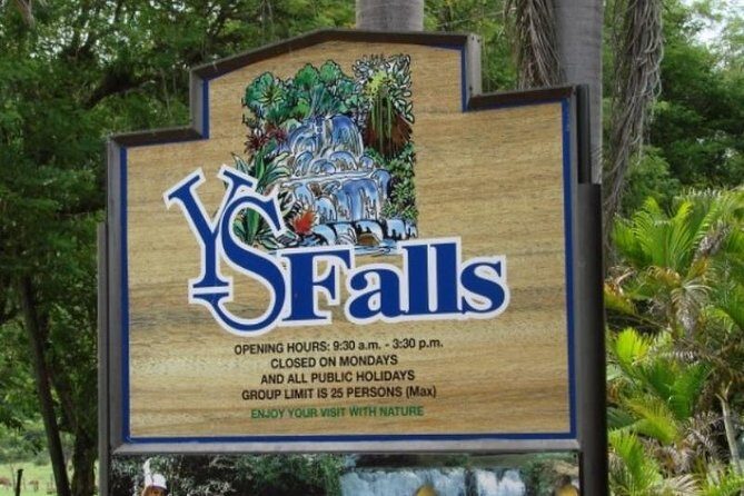 Private YS Falls Tour from Montego Bay - Why This Tour Stands Out