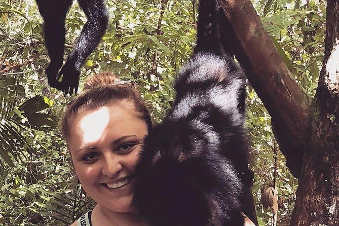 PRIVATE Zipline & Baboon Sanctuary Experience - Itinerary Breakdown