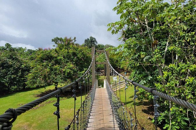 Private Ziplining Tour in Puerto Rico - FAQ