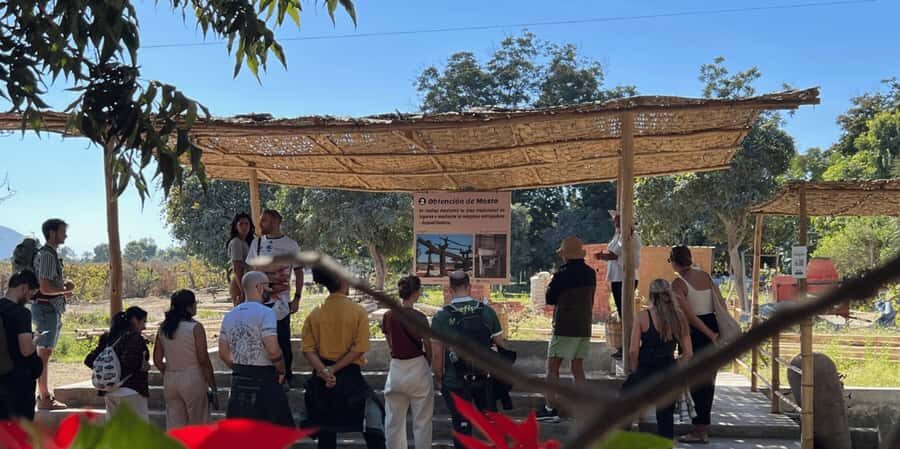 Pro Sanboarding or skiing in Huacachina from Lima - Day trip - The Sum Up